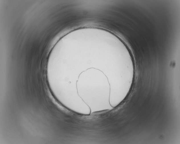 X0000111171437200908121036