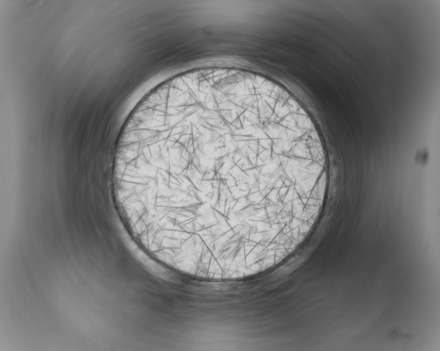 X0000111171438200908121036