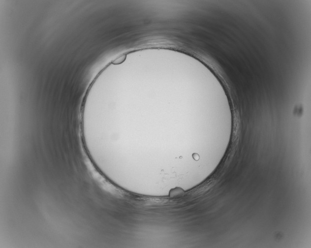 X0000111171439200908121036