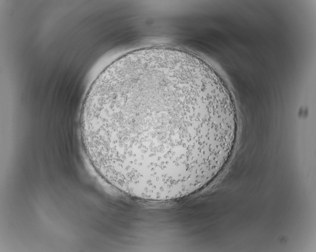 X0000111171440200908121036