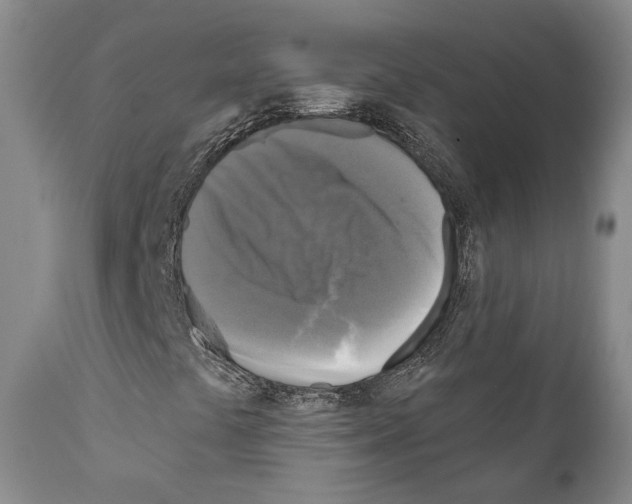 X0000111171441200908121036