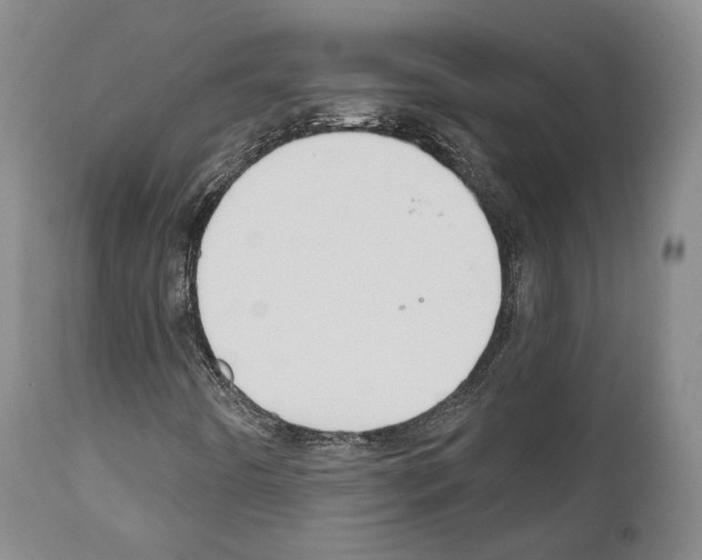 X0000111171442200908121036