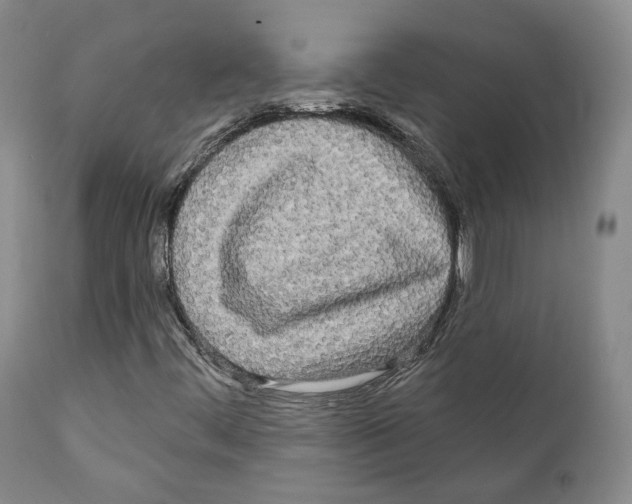 X0000111171444200908121036