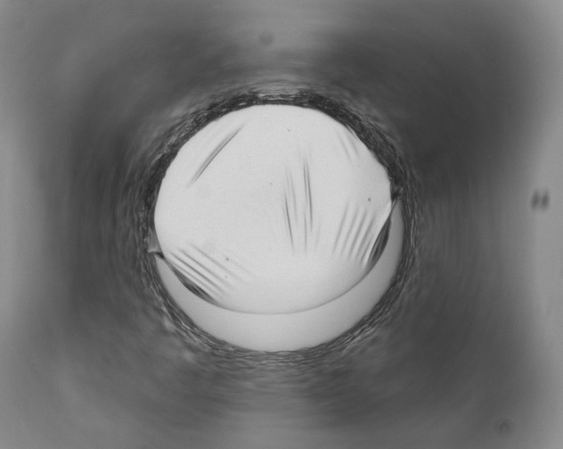 X0000111171445200908121036