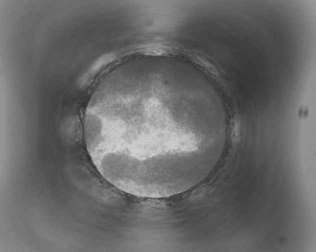 X0000111171446200908121036