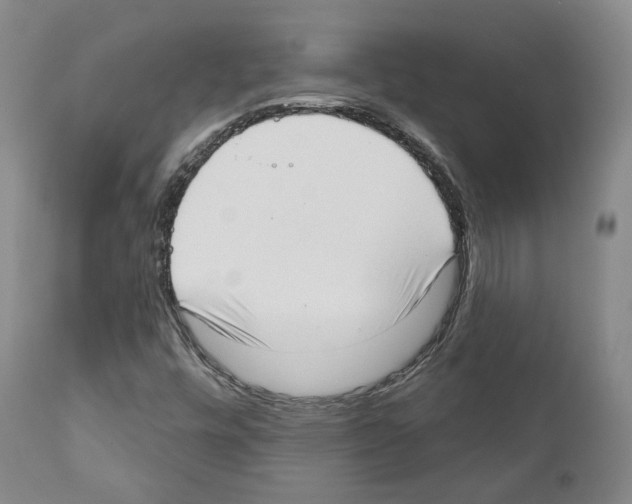 X0000111171448200908121035