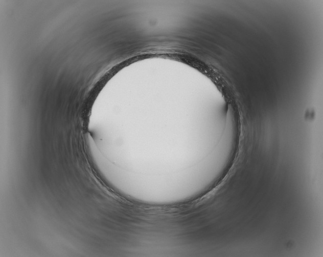 X0000111171449200908121035