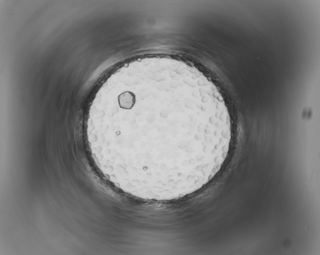 X0000111171450200908121035