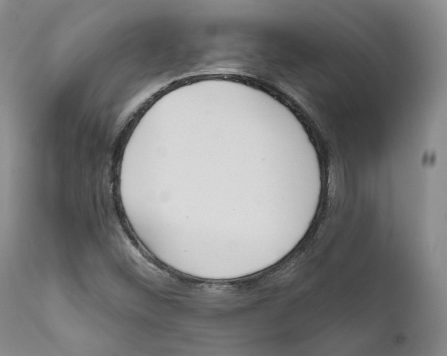 X0000111171452200908121035