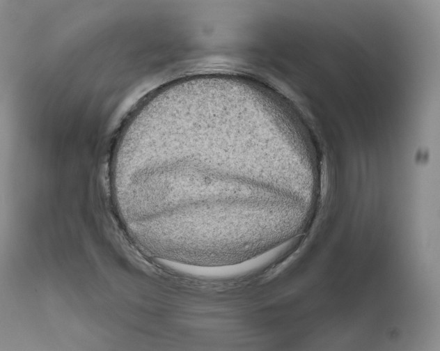 X0000111171453200908121035