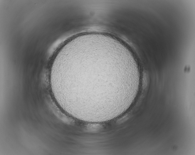 X0000111171454200908121035