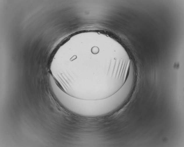 X0000111171457200908121035