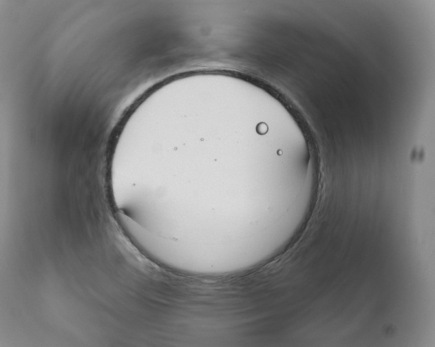 X0000111171460200908121035