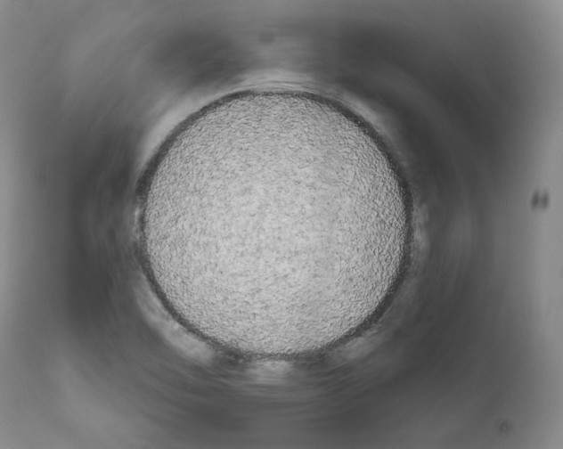 X0000111171462200908121035