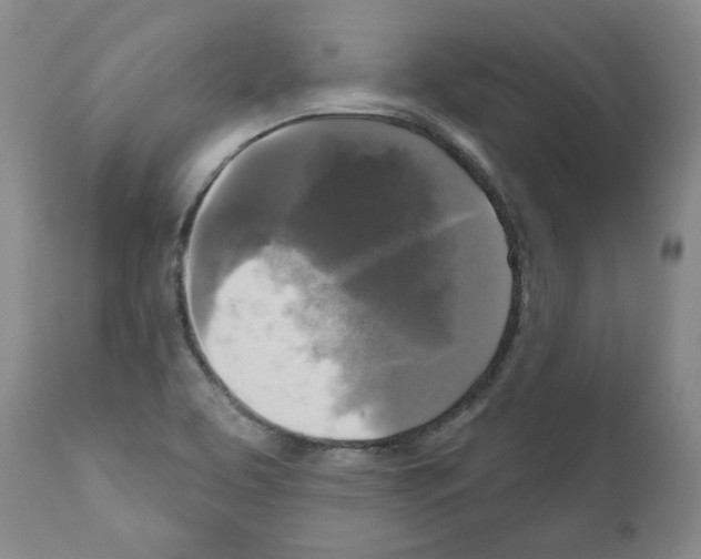 X0000111171463200908121035