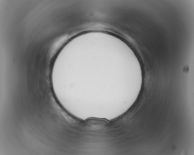 X0000111171464200908121035