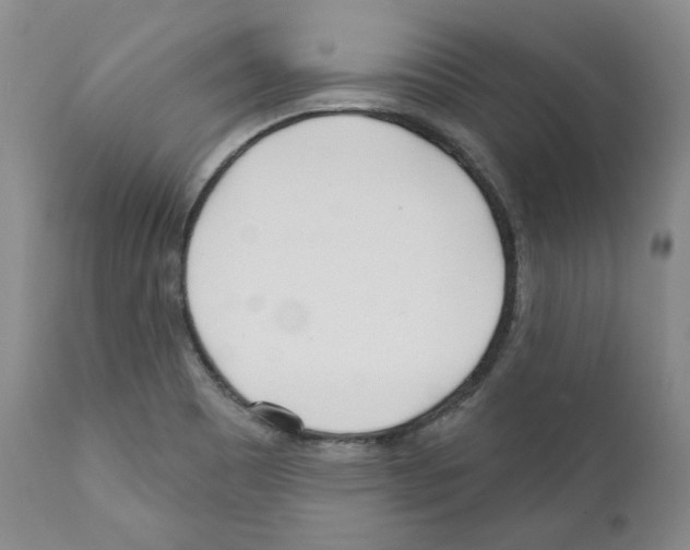 X0000111171465200908121035