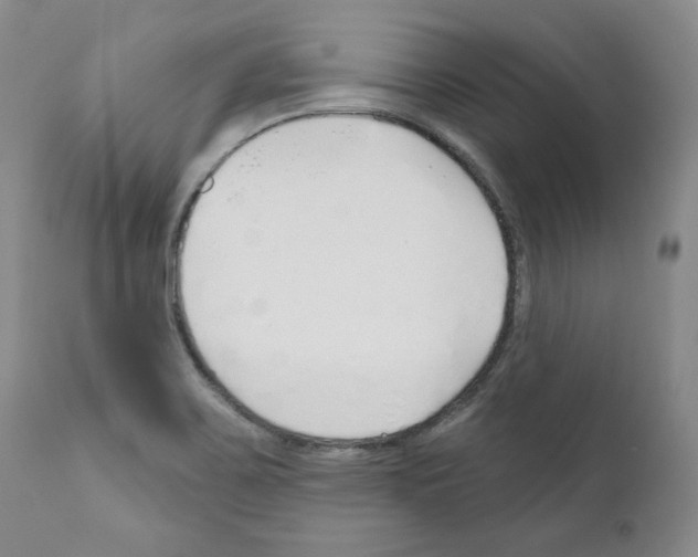 X0000111171467200908121035