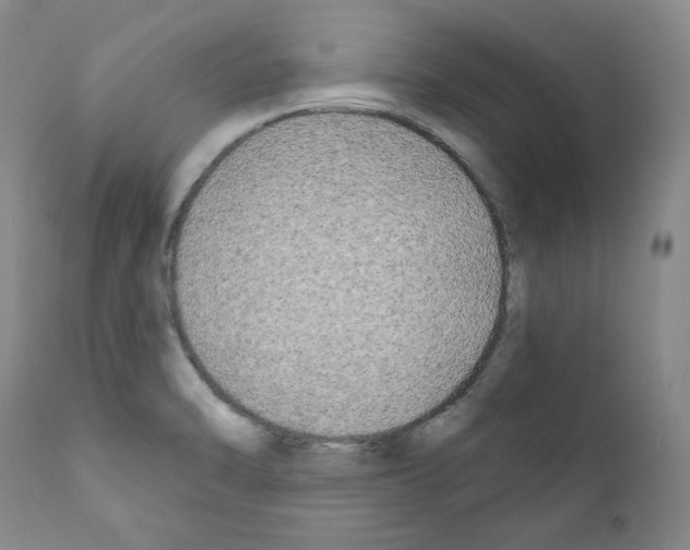 X0000111171470200908121035