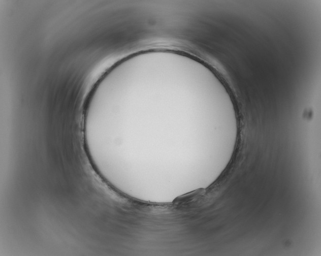 X0000111171472200908121035