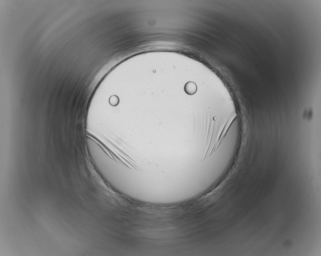 X0000111171473200908121035