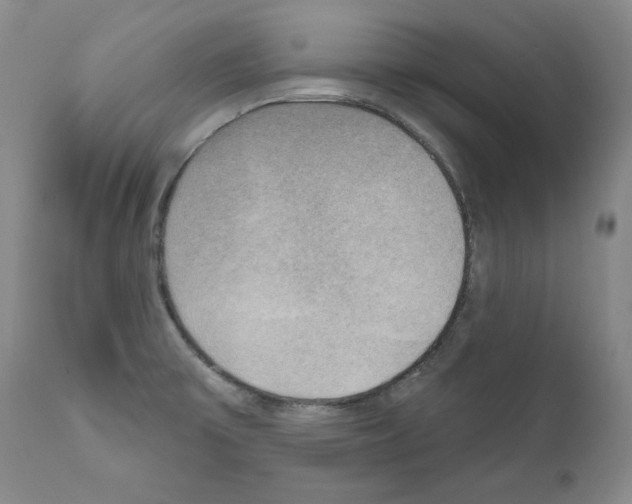 X0000111171475200908121035