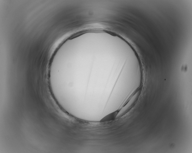 X0000111171477200908121035