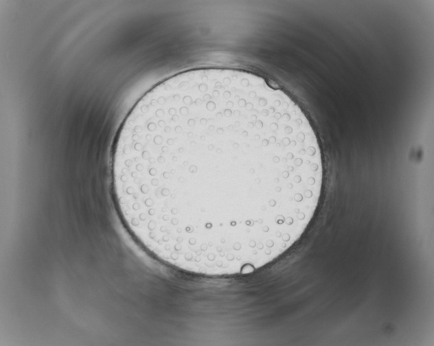 X0000111171479200908121035