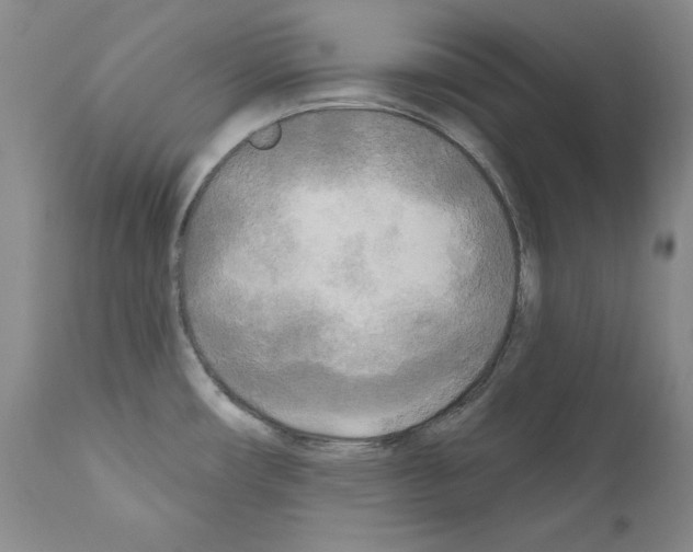 X0000111171482200908121035