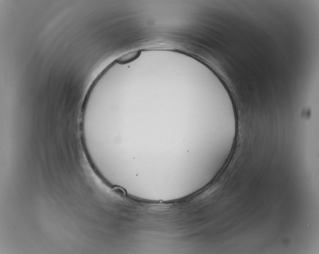 X0000111171484200908121035