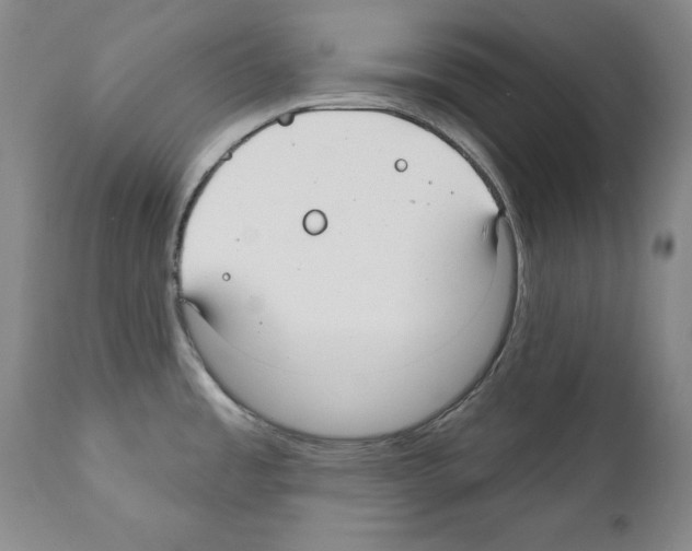 X0000111171485200908121035