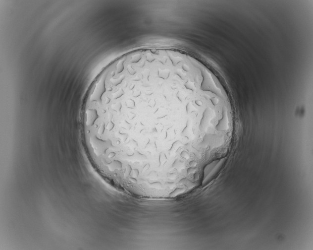 X0000111171487200908121035