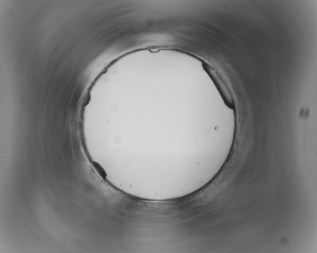 X0000111171488200908121035