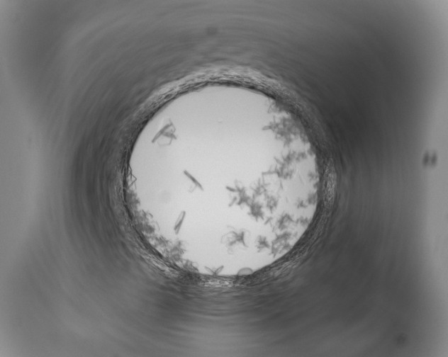 X0000111171489200908121034