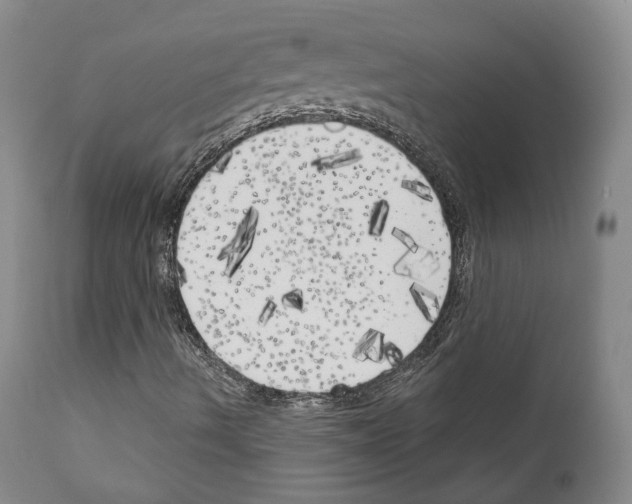 X0000111171490200908121034