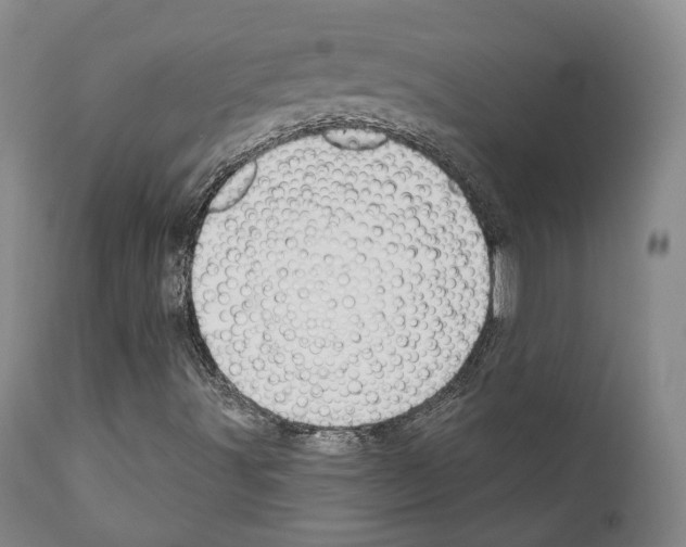 X0000111171491200908121034