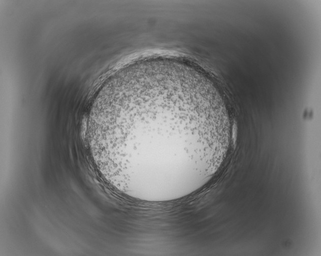 X0000111171492200908121034