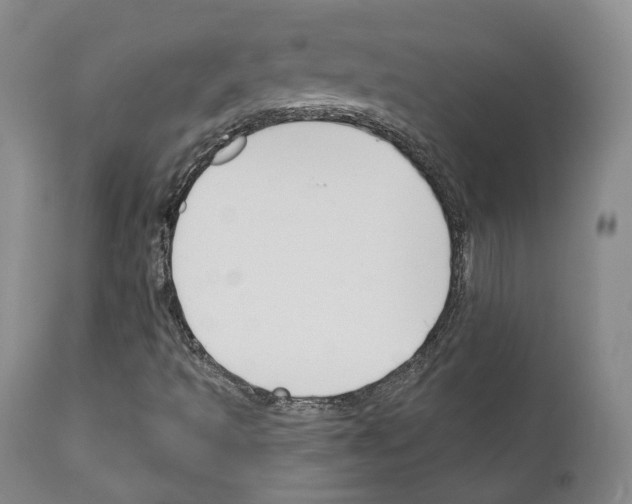 X0000111171493200908121034