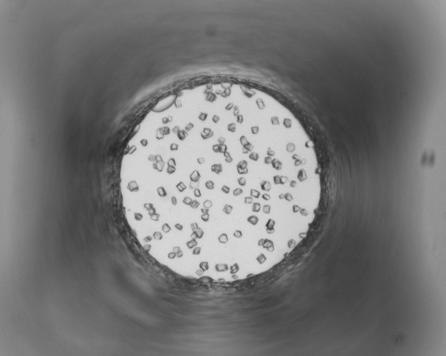 X0000111171494200908121034