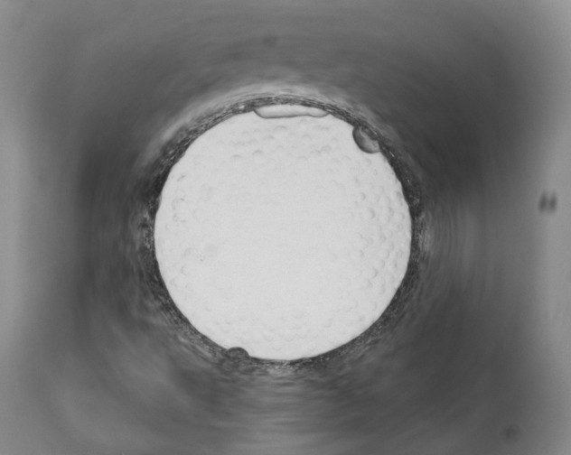 X0000111171495200908121034