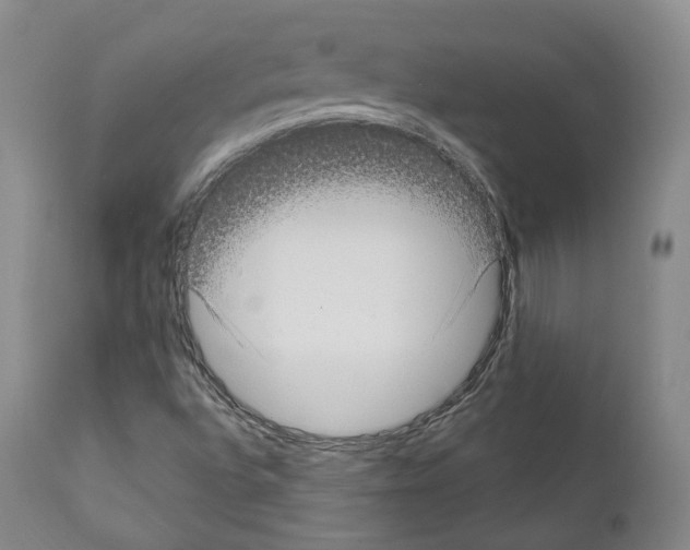 X0000111171496200908121034