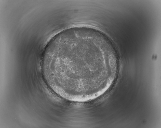 X0000111171497200908121034