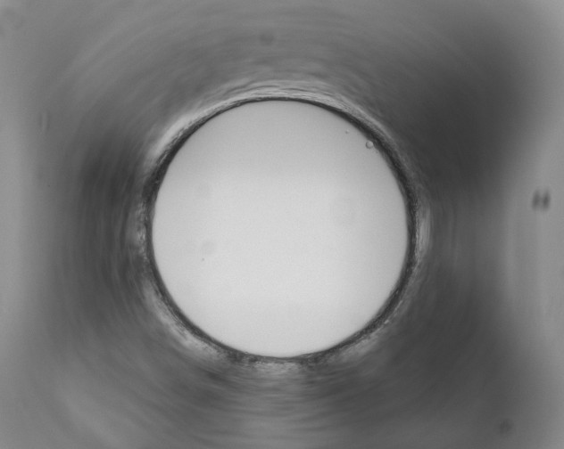 X0000111171498200908121034