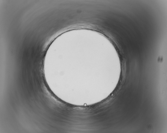 X0000111171500200908121034