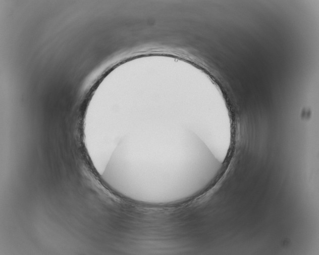 X0000111171502200908121034