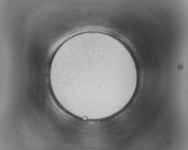 X0000111171504200908121034