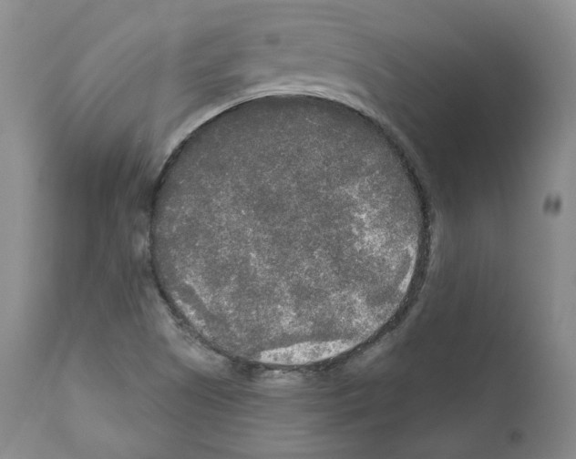 X0000111171505200908121035