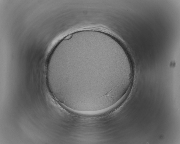 X0000111171506200908121035