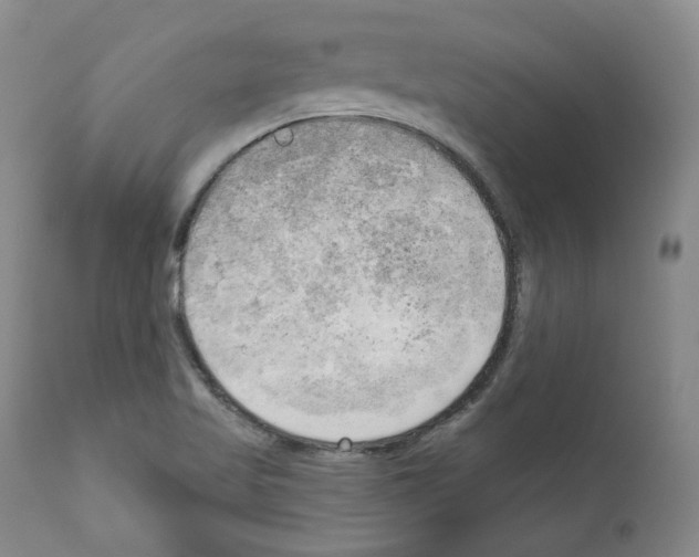 X0000111171509200908121035