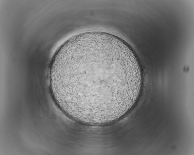 X0000111171510200908121035